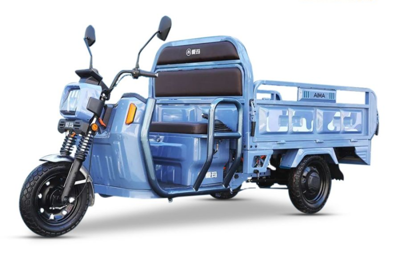 EV TRICYCLE G009 CARGO TYPE 2024